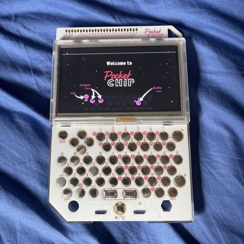 Faulty pocket chip - pocket,